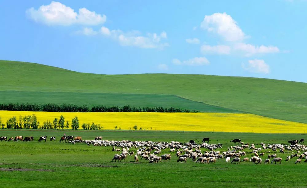 内蒙古之声，播音稿里的草原情怀
