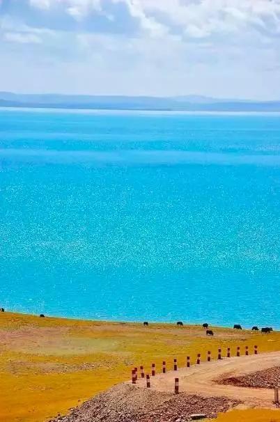 探寻神秘青海,高原瑰宝的背景与影响