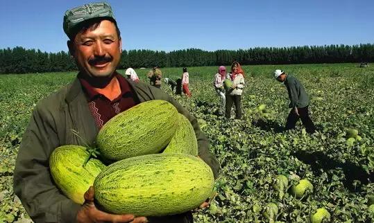 新疆,一眼千年,诗意远方的秘境之旅